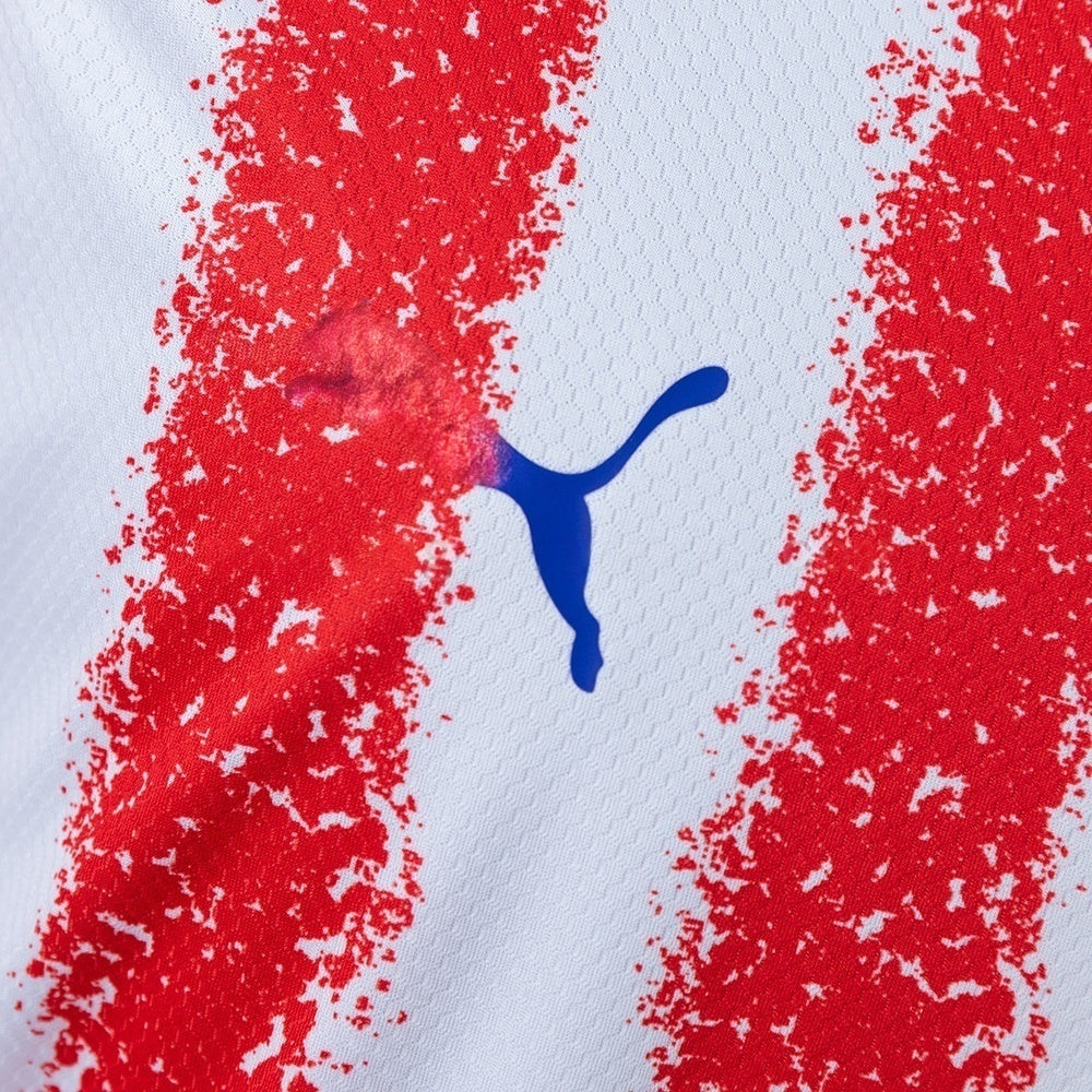 Paraguay Away Jersey 2026 World Cup Football Kit Soccer product image 5