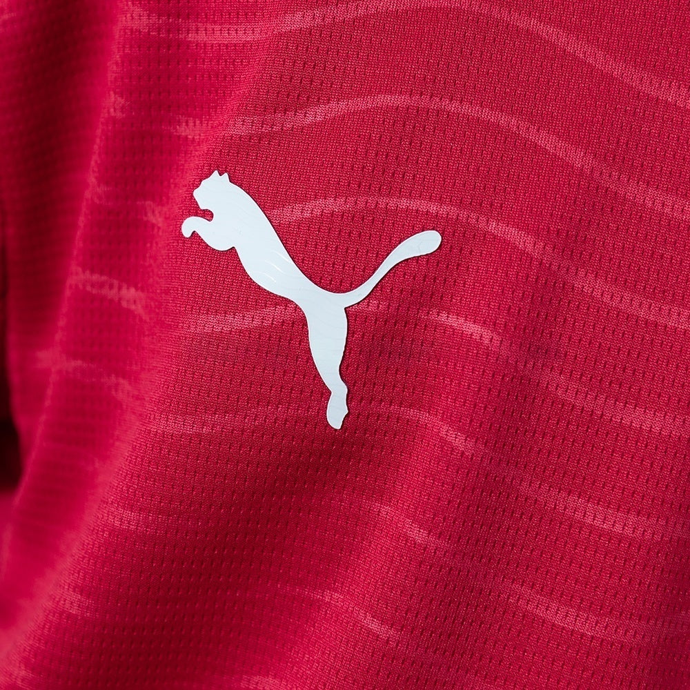 Kids Portugal Home Jersey 2026 World Cup Football Kit product image 6