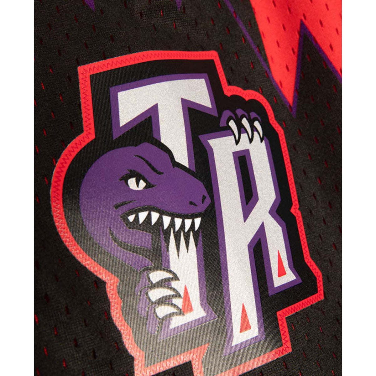 Toronto Raptors 1998 Mitchell & Ness Red Hardwood Classic Reload Swingman Shorts for Men product image 2, provided for