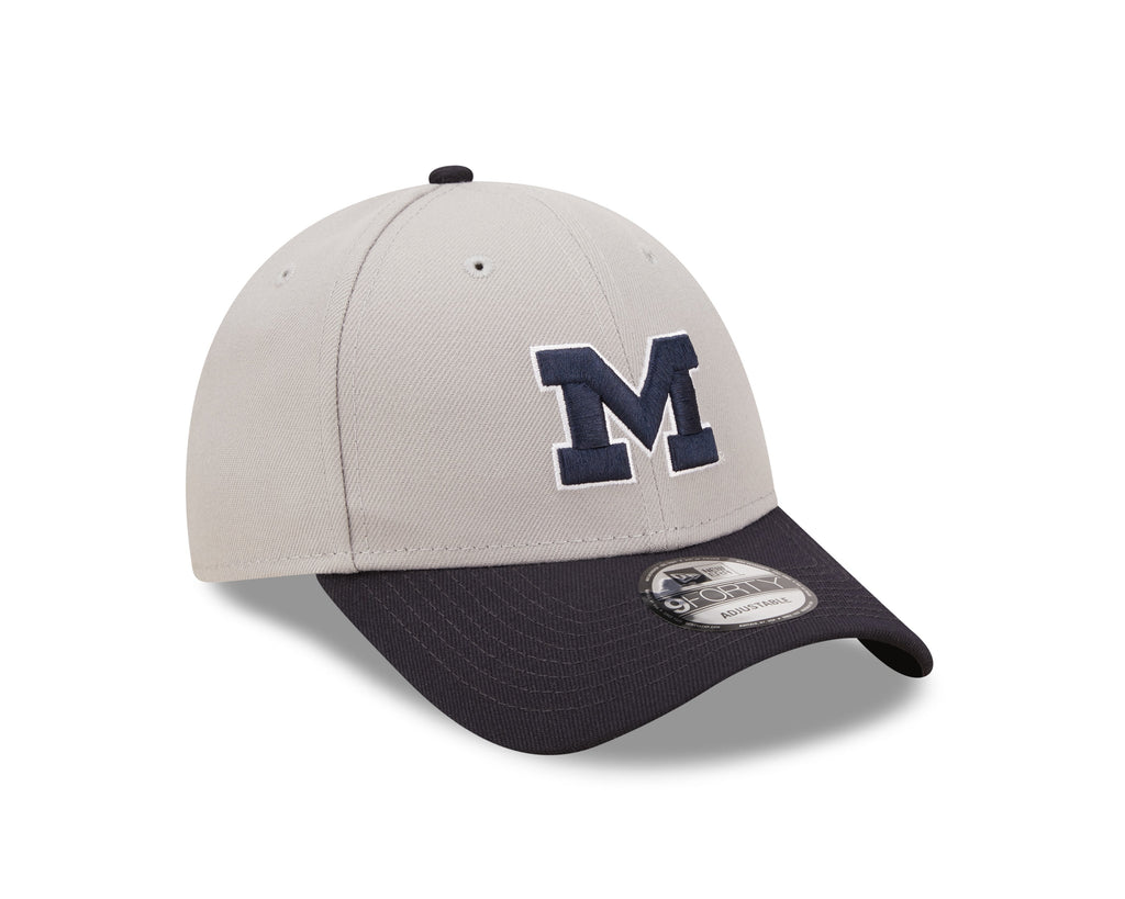 Michigan Wolverines Tide 2 Tone Gray/Navy NCAA New Era The League 9Forty Adjustable Hat product image 3, provided for visual