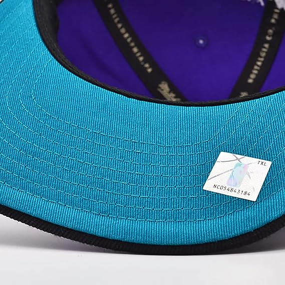 Charlotte Hornets Mitchell & Ness NBA Core Basic HWC Purple/Black Snapback Hat for Men product image 4, provided for visual