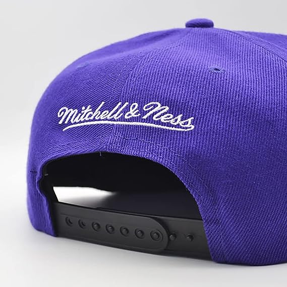 Charlotte Hornets Mitchell & Ness NBA Core Basic HWC Purple/Black Snapback Hat for Men product image 3, provided for visual