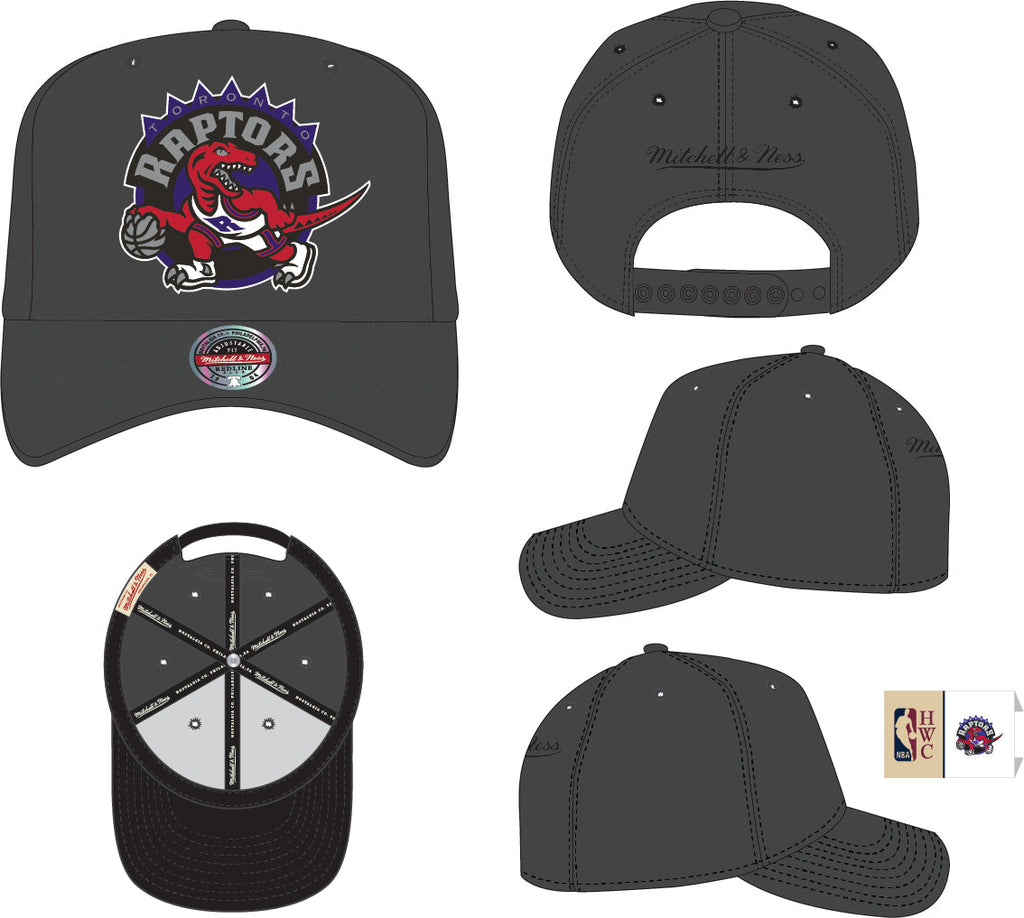 Toronto Raptors Pro Crown Fit Mitchell & Ness Gray Snapback Hat product image 2, provided for visual reference and product
