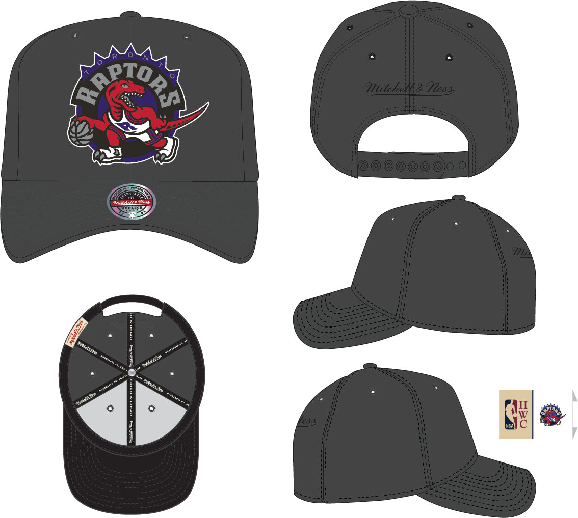 Toronto Raptors Pro Crown Fit Mitchell & Ness Gray Snapback Hat product image 2, provided for visual reference and product