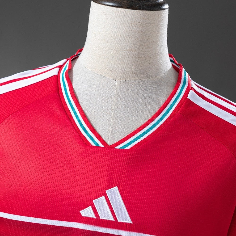 Wales Jersey 2026 World Cup Home Football Kit product image 6