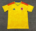 Colombia Jersey 2026 World Cup Football Kit Soccer product image 1