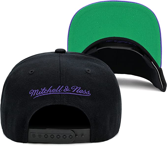 Toronto Raptors 2 Tone Black/Purple Hardwood Classics Team Script 2.0 Mitchell & Ness Snapback Hat product image 3, provided