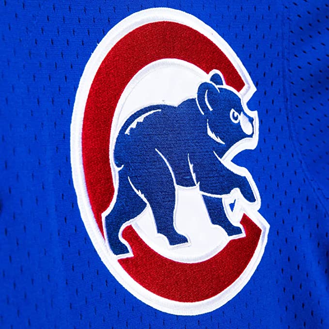 Youth Chicago Cubs Ryne Sandberg Mitchell & Ness Royal Cooperstown Collection Mesh Batting Practice Jersey product image 3,