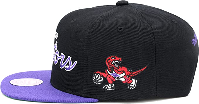 Toronto Raptors 2 Tone Black/Purple Hardwood Classics Team Script 2.0 Mitchell & Ness Snapback Hat product image 2, provided