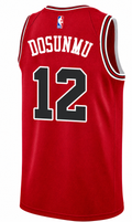 Youth Chicago Bulls Ayo Dosunmu Red Nike Swingman Icon Jersey product image 1, provided for visual reference and product
