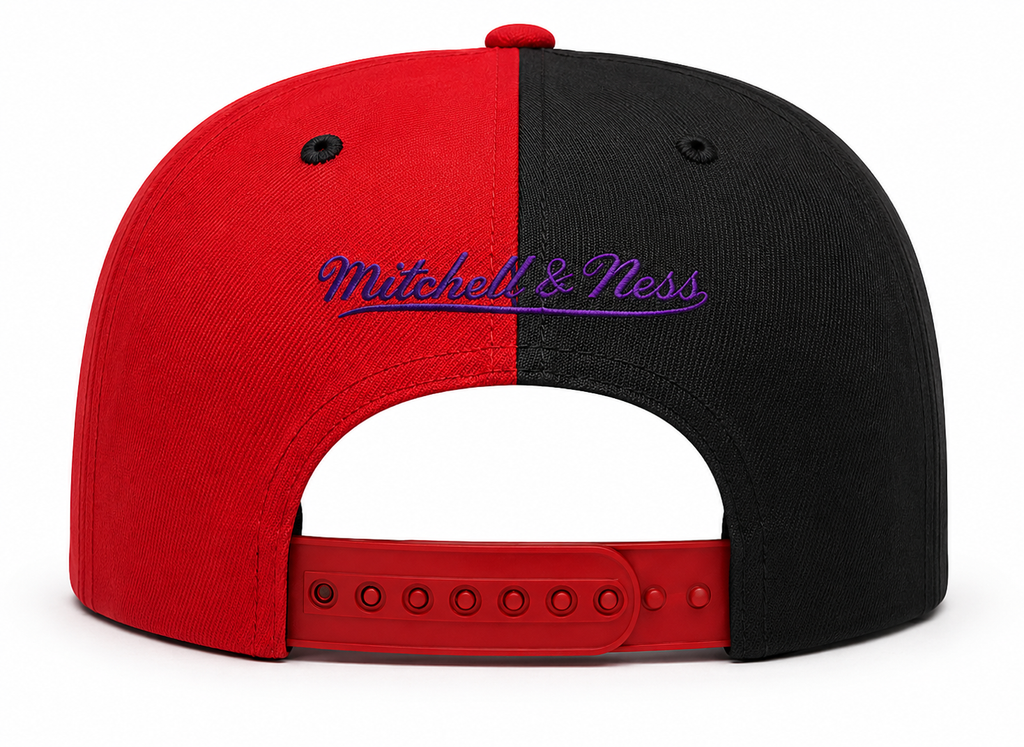 Toronto Raptors Mitchell & Ness NBA Pinwheel Snapback Hat-Current Logo for Men product image 3, provided for visual