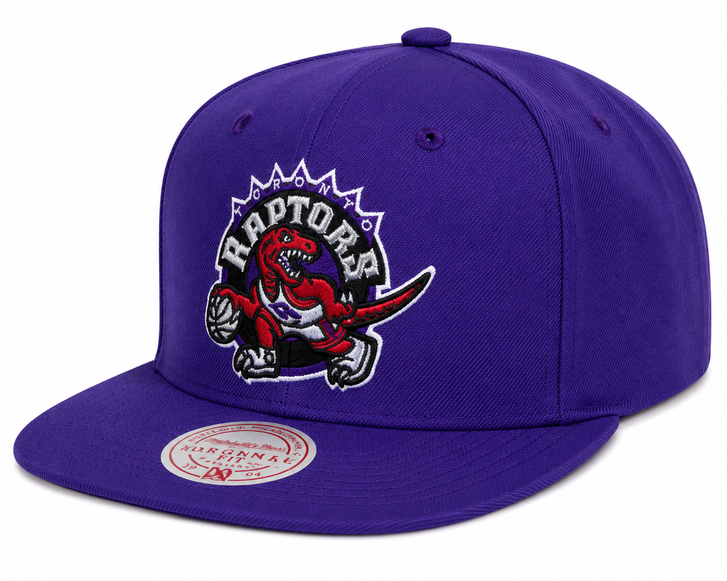 Toronto Raptors Ground 2.0 Purple Snapback Hat By Mitchell & Ness for Men product image 1, provided for visual reference and