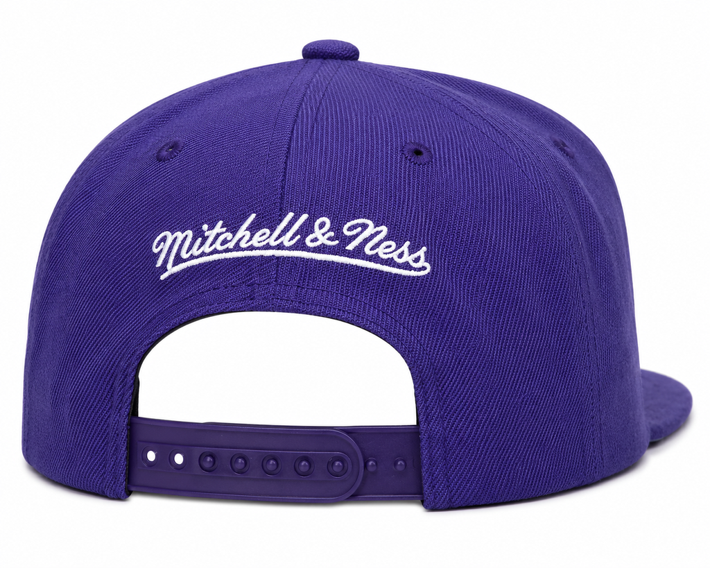 Toronto Raptors Ground 2.0 Purple Snapback Hat By Mitchell & Ness for Men product image 2, provided for visual reference and