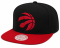 Toronto Raptors 2-Tone 2.0 Snapback Hat By Mitchell & Ness for Men product image 1, provided for visual reference and