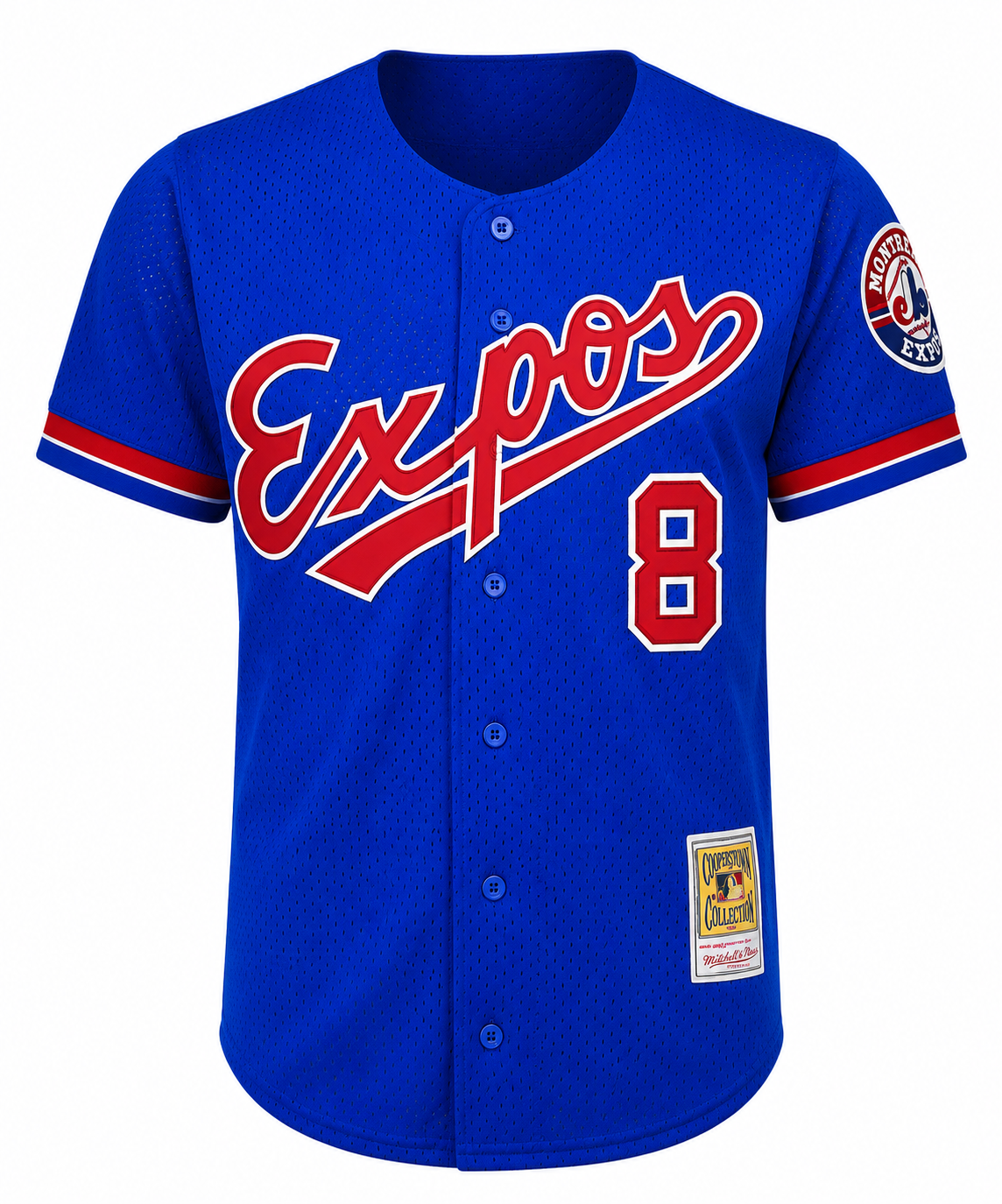 Montreal Expos Gary Carter Mitchell & Ness Royal 1992 Authentic Cooperstown Collection Mesh Batting Practice Jersey for Men