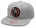 Boston Celtics Team Gray Heathered HWC 2.0 Mitchell & Ness Snapback Hat product image 1, provided for visual reference and