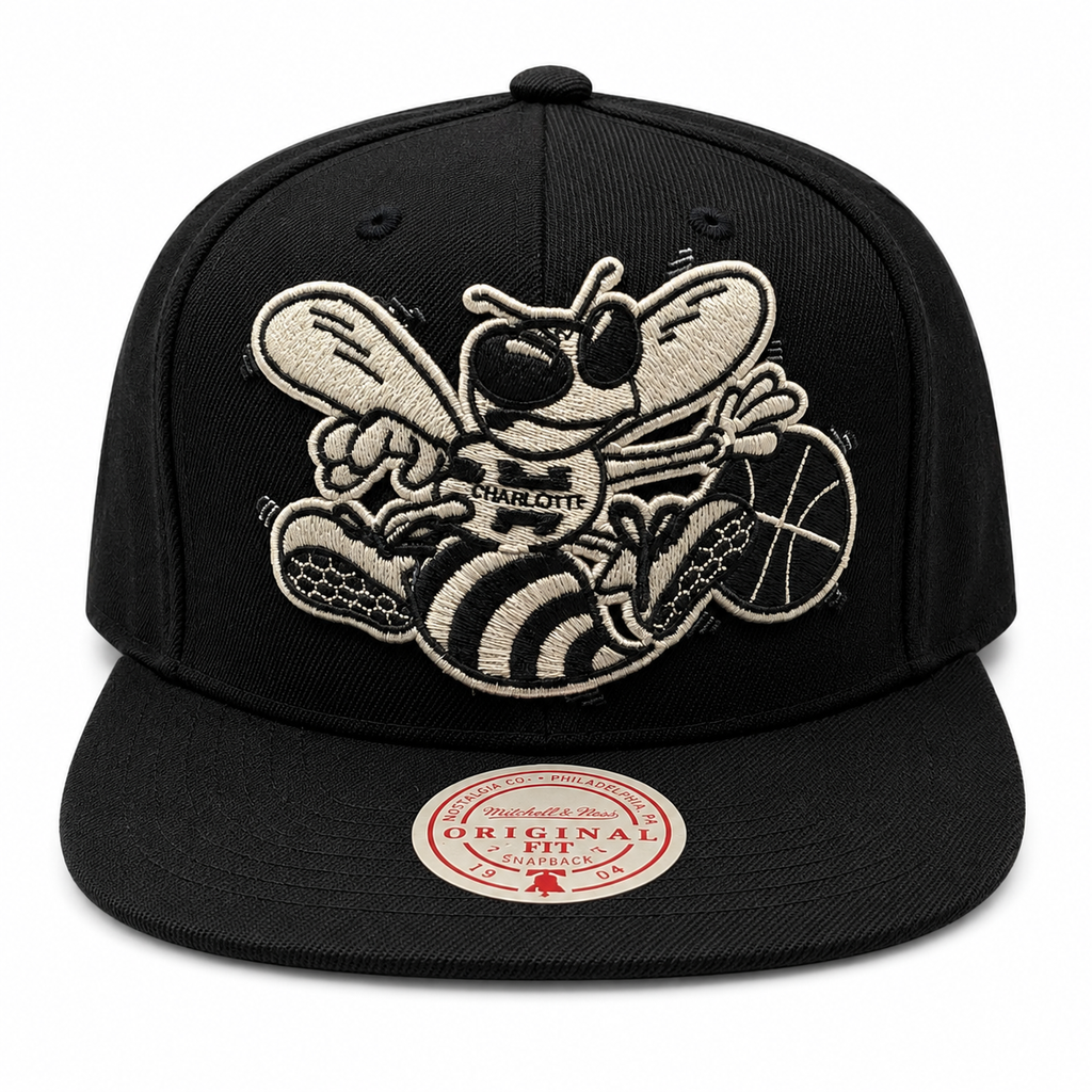 Charlotte Hornets Mitchell & Ness NBA XL BWG HWC Snapback Hat for Men product image 2, provided for visual reference and