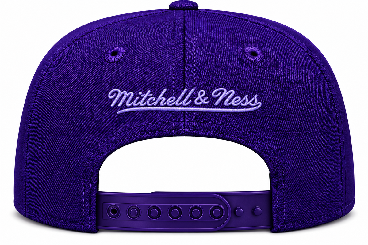 Los Angeles Lakers Mitchell & Ness Tonal Eclipse Snapback Hat- Purple product image 4, provided for visual reference and