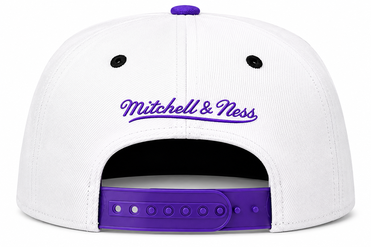 Toronto Raptors HWC NBA Paintbrush Mitchell & Ness Snapback Hat product image 2, provided for visual reference and product