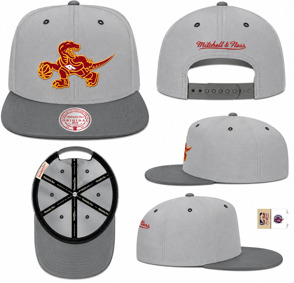 Toronto Raptors NBA Cool Gray 3 HWC 2 Tone Mitchell & Ness Snapback Hat for Men product image 3, provided for visual