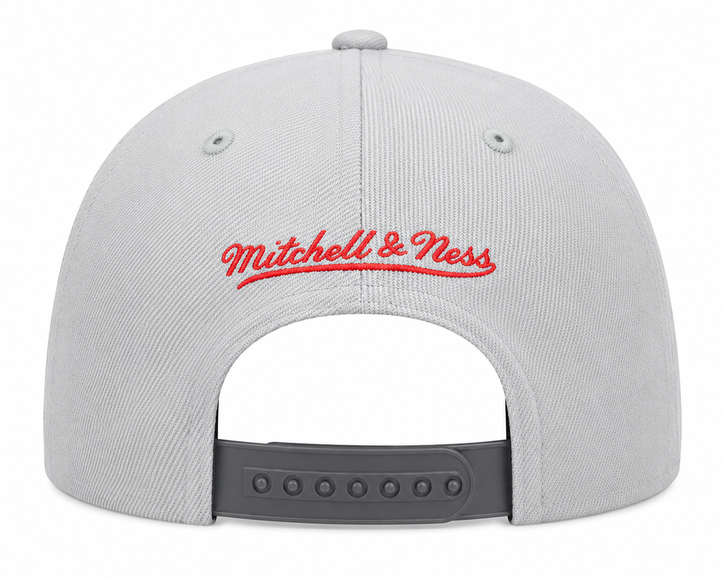 Toronto Raptors NBA Cool Gray 3 HWC 2 Tone Mitchell & Ness Snapback Hat for Men product image 2, provided for visual