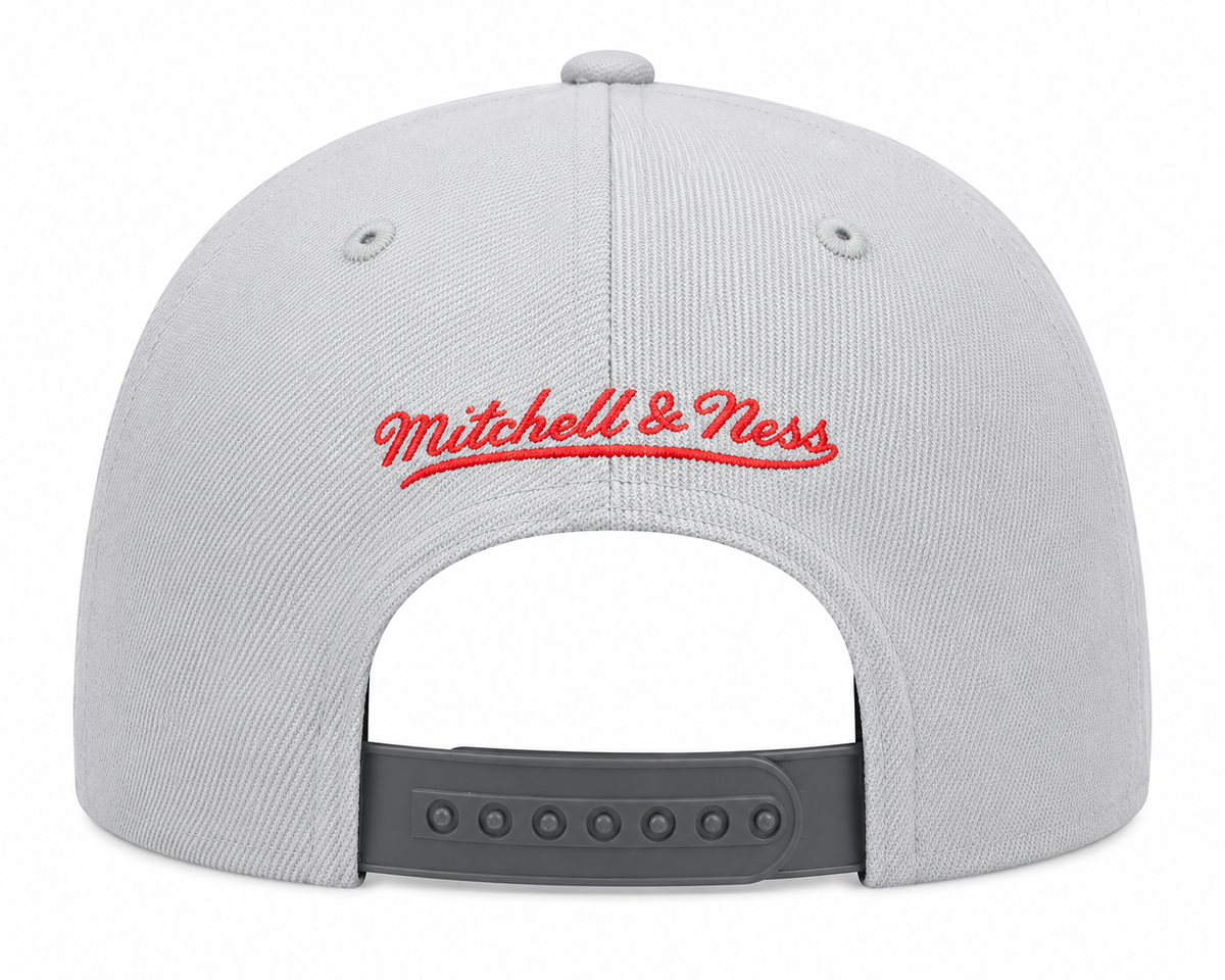 Toronto Raptors NBA Cool Gray 3 HWC 2 Tone Mitchell & Ness Snapback Hat for Men product image 2, provided for visual