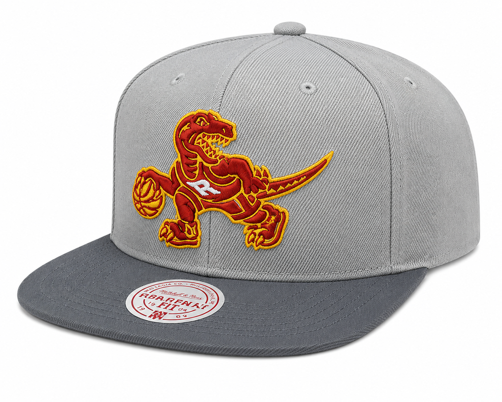 Toronto Raptors NBA Cool Gray 3 HWC 2 Tone Mitchell & Ness Snapback Hat for Men product image 1, provided for visual