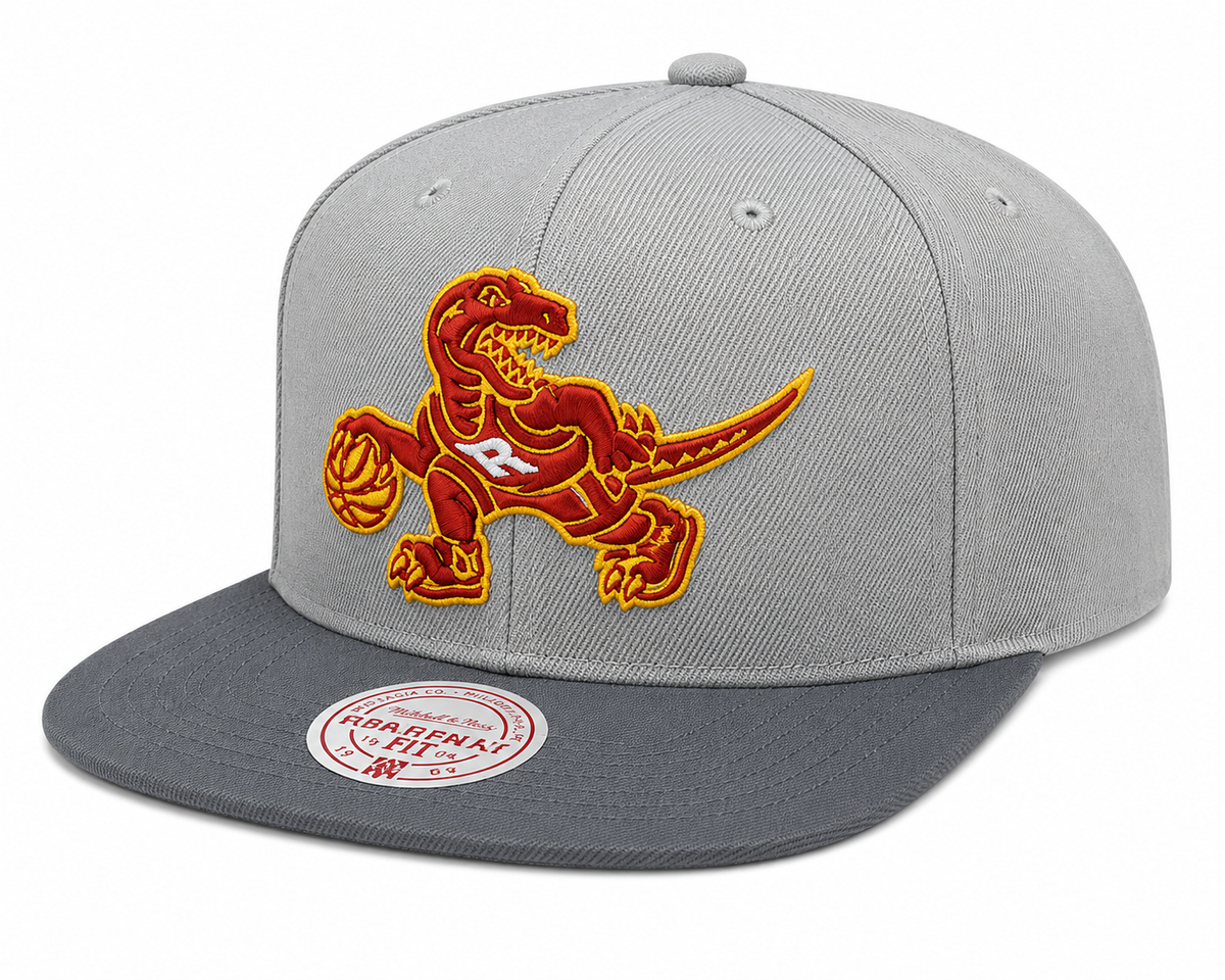 Toronto Raptors NBA Cool Gray 3 HWC 2 Tone Mitchell & Ness Snapback Hat for Men product image 1, provided for visual