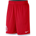 Mens Ohio State Buckeyes NCAA Nike Scarlet Mesh Shorts product image 1, provided for visual reference and product detail