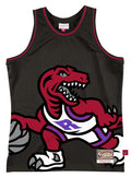 Toronto Raptors Mitchell & Ness Black Hardwood Classics Blown Out Fashion Jersey for Men product image 1, provided for