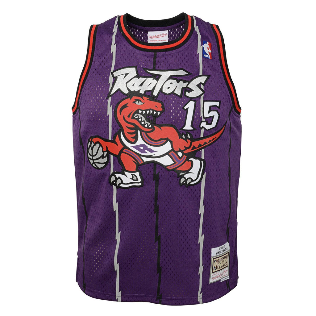 Youth Toronto Raptors Vince Carter Mitchell & Ness Purple Hardwood Classics Jersey product image 2, provided for visual