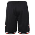 Youth Chicago Bulls Mitchell & Ness 1997 Black Hardwood Classics Swingman Shorts product image 1, provided for visual