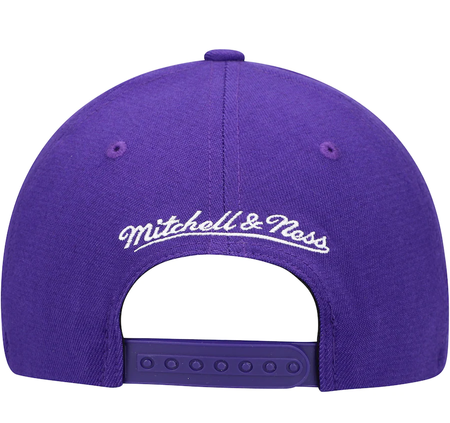 Mens NBA Toronto Raptors Purple Team Ground Snapback Hat By Mitchell And Ness product image 4, provided for visual reference