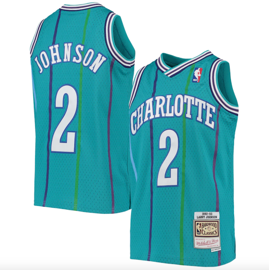 Youth Charlotte Hornets Larry Johnson Mitchell & Ness Teal 1992-93 Hardwood Classics Swingman Jersey product image 1,