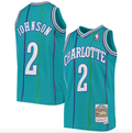 Youth Charlotte Hornets Larry Johnson Mitchell & Ness Teal 1992-93 Hardwood Classics Swingman Jersey product image 1,