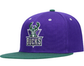 Milwaukee Bucks Mitchell & Ness Hardwood Classics Reload 2.0 Snapback Hat - Green/Purple for Men product image 1, provided