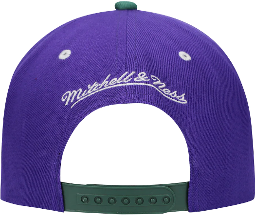 Milwaukee Bucks Mitchell & Ness Hardwood Classics Reload 2.0 Snapback Hat - Green/Purple for Men product image 3, provided