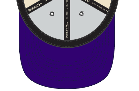 Los Angeles Lakers Mitchell & Ness Natural 2 Tone Snapback Hat- Cream/Purple product image 3, provided for visual reference