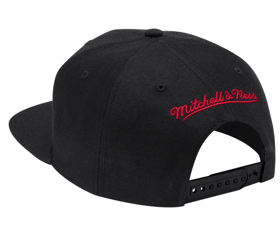 Toronto Raptors 2-Tone 2.0 Snapback Hat By Mitchell & Ness for Men product image 2, provided for visual reference and