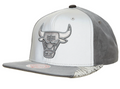 Chicago Bulls Mitchell & Ness 3M AIR JORDAN DAY 5 Snapback Hat- Gray/Silver product image 1, provided for visual reference