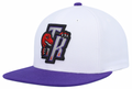 Mitchell & Ness Toronto Raptors HWC White/Purple Adjustable Snapback Hat for Men product image 1, provided for visual