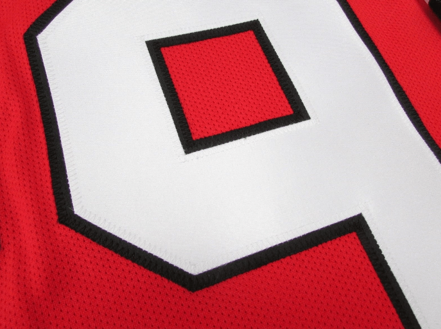 Corey Crawford Rockford Icehogs Premier Replica Red Jersey product image 4, provided for visual reference and product detail
