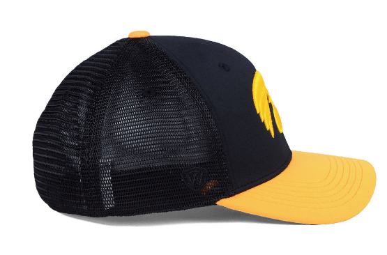 Mens Iowa Hawkeyes Chatter One Fit Flex Fit Hat By Top Of The World product image 4, provided for visual reference and