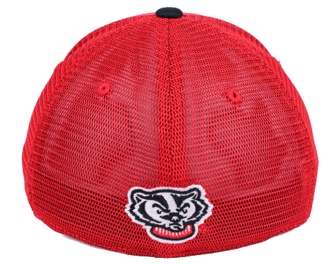Mens Wisconsin Badgers Chatter One Fit Flex Fit Hat By Top Of The World product image 5, provided for visual reference and