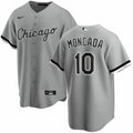 Yoan Moncada Chicago White Sox Nike Gray Road Replica Team Jersey for Men product image 1, provided for visual reference and