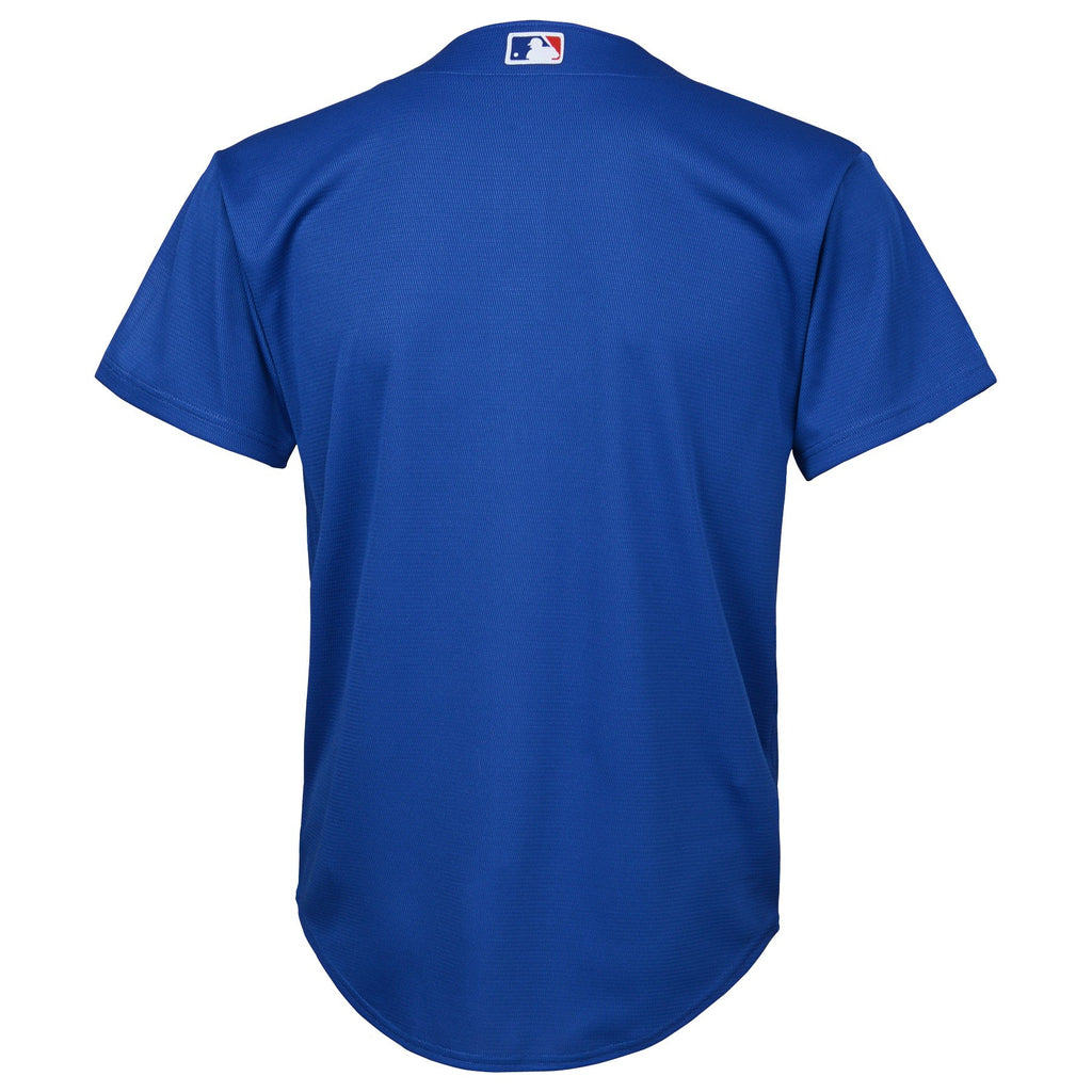 Youth Chicago Cubs Nike BLUE Alternate Replica Team Jersey product image 3, provided for visual reference and product detail