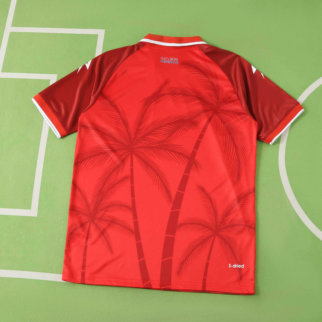 Haiti Third Jersey 2026 World Cup Football Kit Soccer Shirt product image 2