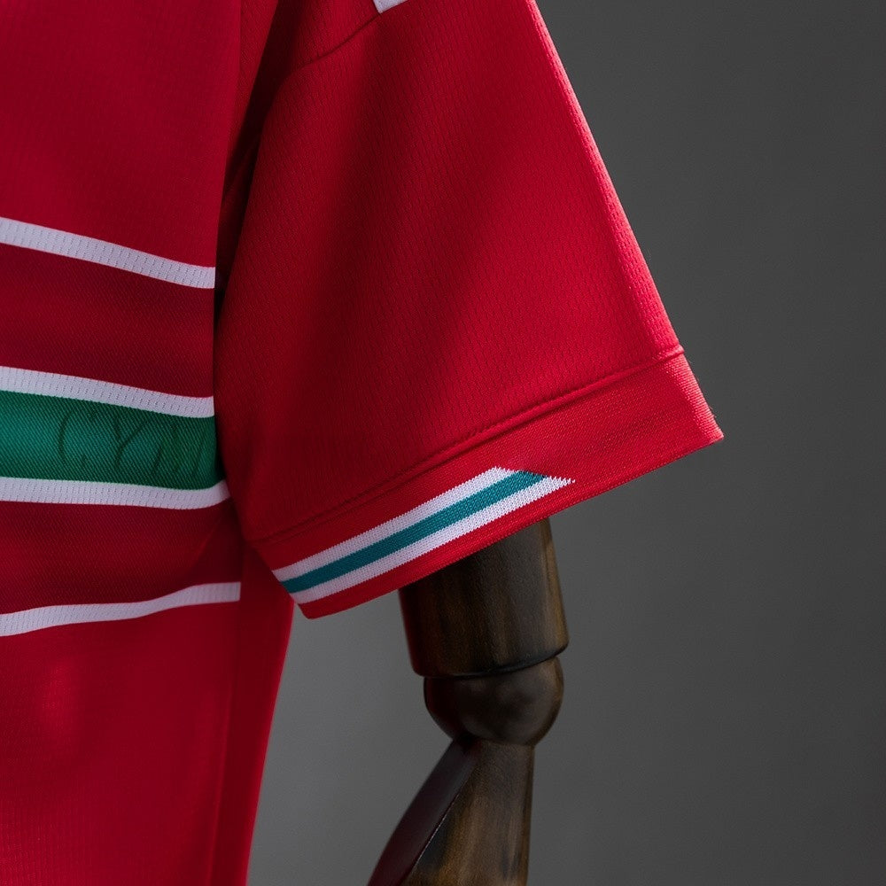Wales Jersey 2026 World Cup Home Football Kit product image 3