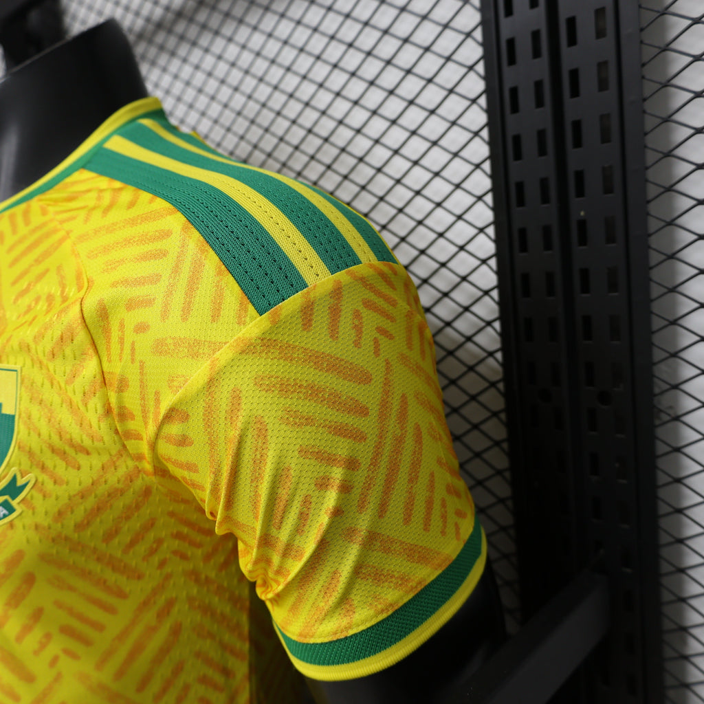 Player Version South Africa Home Jersey 2026 World Cup product image 6