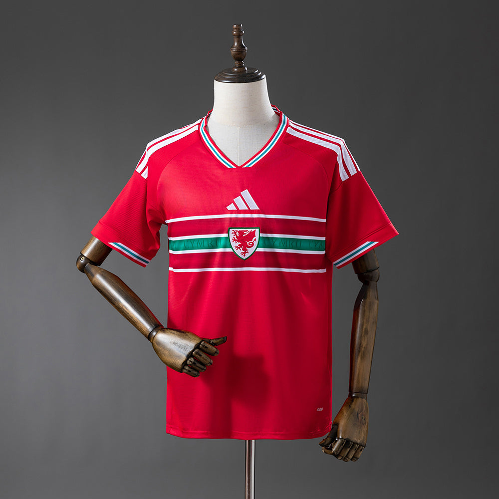 Wales Jersey 2026 World Cup Home Football Kit product image 1